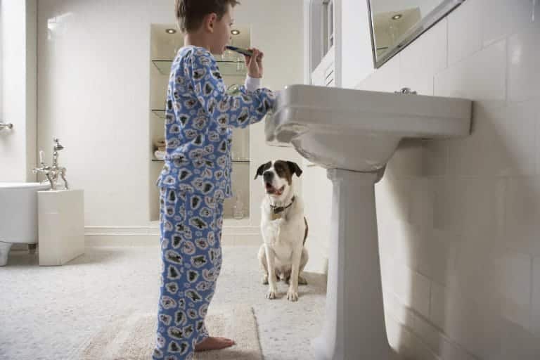 make your home more comfortable and safe