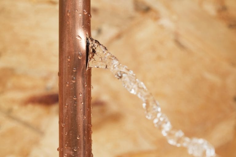 https://www.alphabuildinginspections.com/schedule
