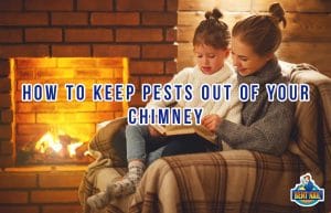 a-mother-reading-book-for-her-daughter-chimney