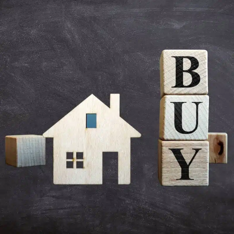Home Inspection Boise - Buyer Home Inspection