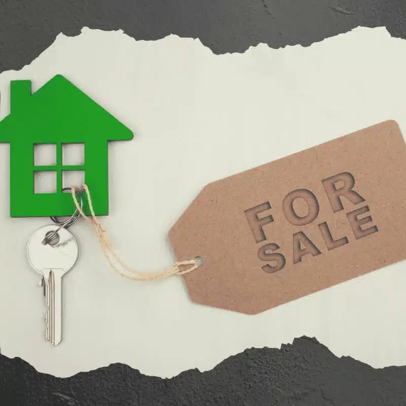 Home Inspection Boise - home sellers inspection
