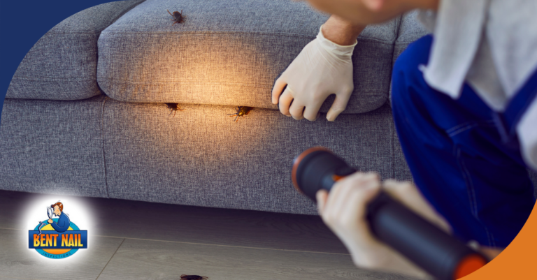 Bent Nail Inspections Pest Prevention Tips For Homeowners