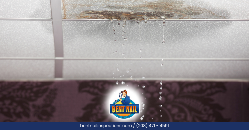 When To Walk Away After The Home Inspection - Boise Home Inspection