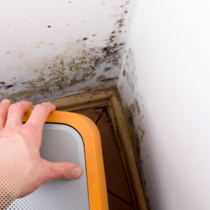When To Walk Away After The Home Inspection - Home Inspection Boise ID