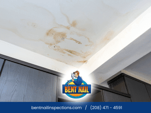 Water stain on interior ceiling indicating possible roof leak or past water intrusion, Bent Nail Inspections
