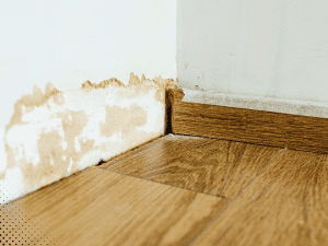 Water damage and staining along baseboard and drywall near floor, indicating possible past moisture intrusion
