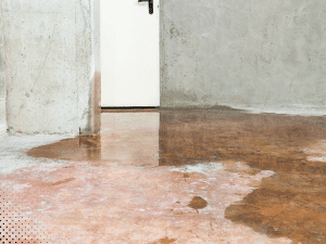 Water damage on basement floor in Boise, ID home during home inspection.