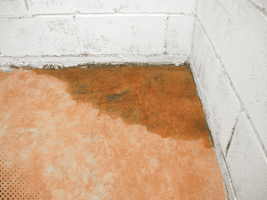 Water damage in basement corner of a Boise, ID home during a home inspection