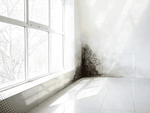 Mold growth on wall near window in a Boise, ID home during mold inspection.