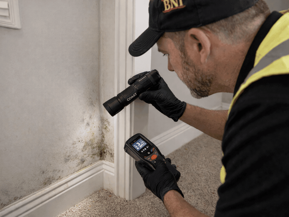 Home inspector using a flashlight and moisture meter to check for mold in a Boise, ID property.