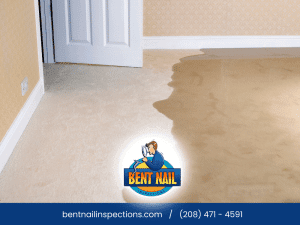 Water damage on carpet in a Boise, ID home, seen during a home inspection.